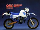 1985 Gilera RX 250 Amizonas